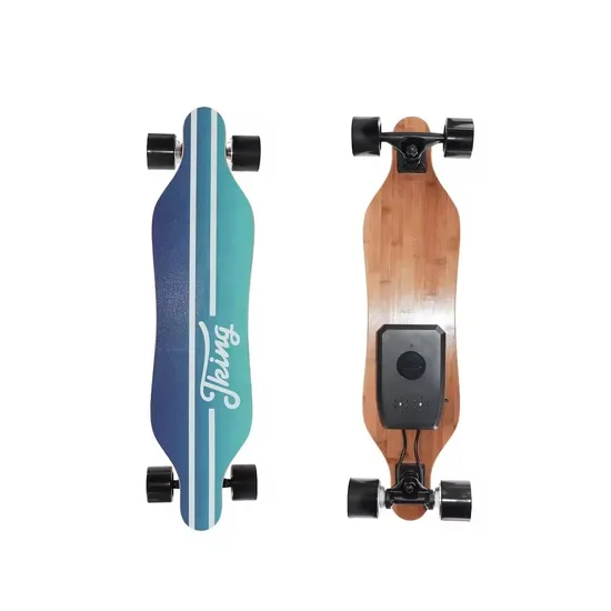 High-Speed-35km-H-450W-2-Motor-Electric-Skateboard-Direct-Drive-Drushless (2)