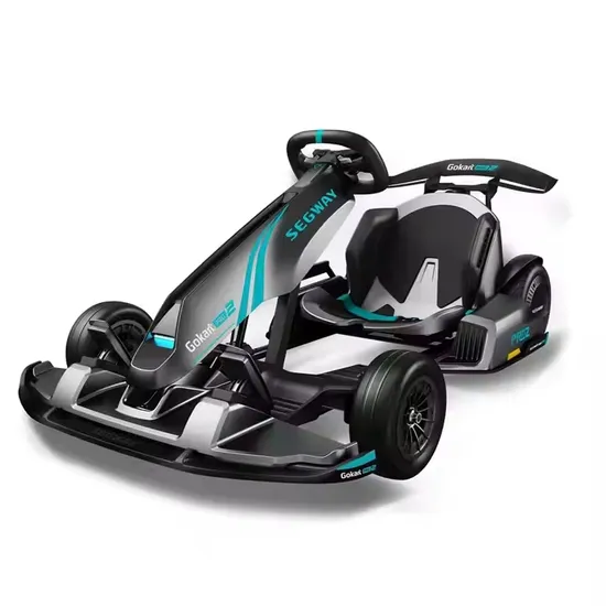 Wholesale-Ninebot-Original-Go-Kart-PRO-2-Gokarts-432wh-Top-Speed-43km-H-Electric-Racing-Go-Karts