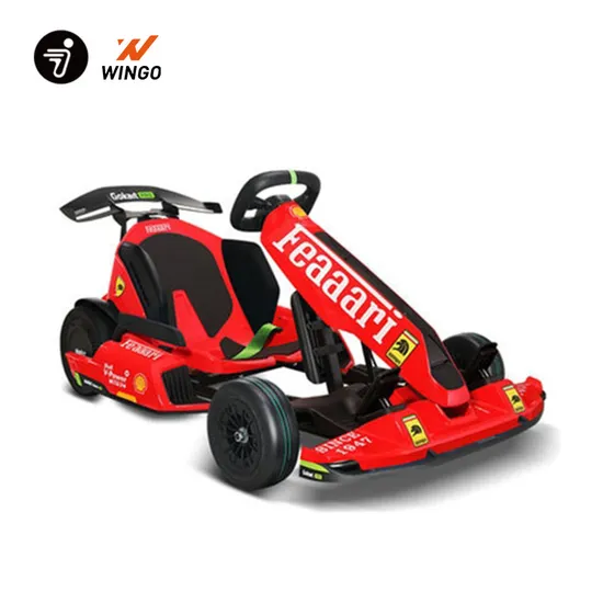 Y-Hot-Sale-Ninebot-Gokart-Max-Speed-40km-H-off-Road-Racing-Go-Kart (1)
