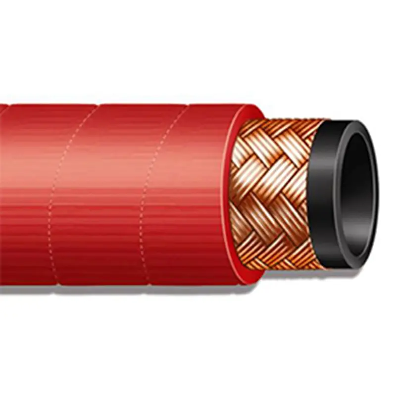 steam-hose-3-1